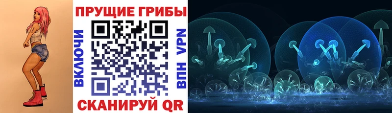 Псилоцибиновые грибы Cubensis Разумное